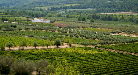 20210915_DTA_PRM_PatxiUriz__Piera_DSC7457