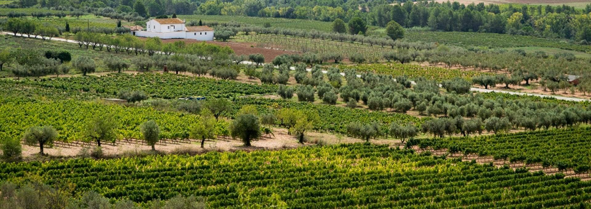 20210915_DTA_PRM_PatxiUriz__Piera_DSC7457